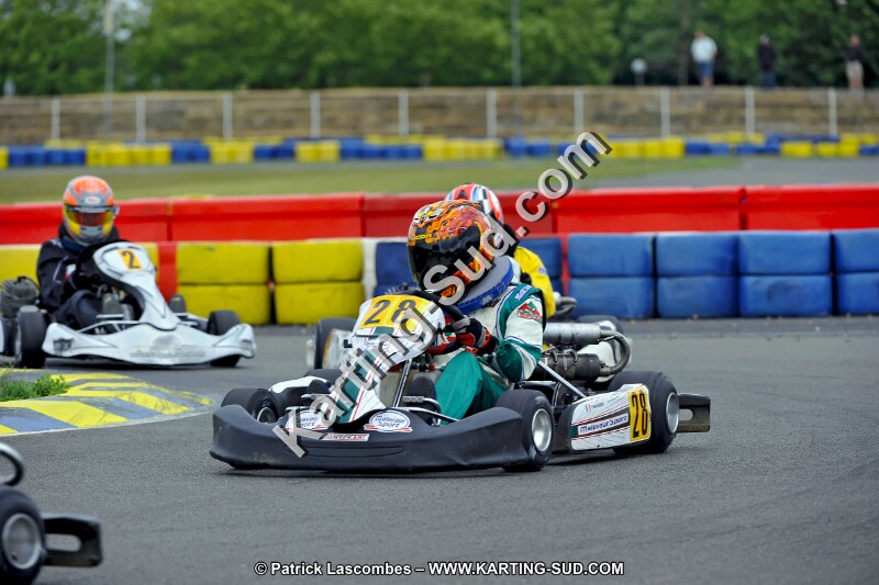 DSC_ (2223).jpg